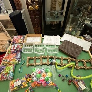 Parakeet Feeders & Enrichment Toys